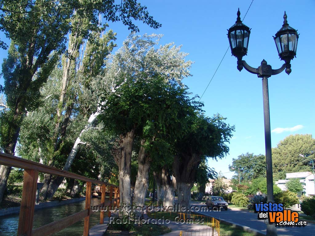DSC08011