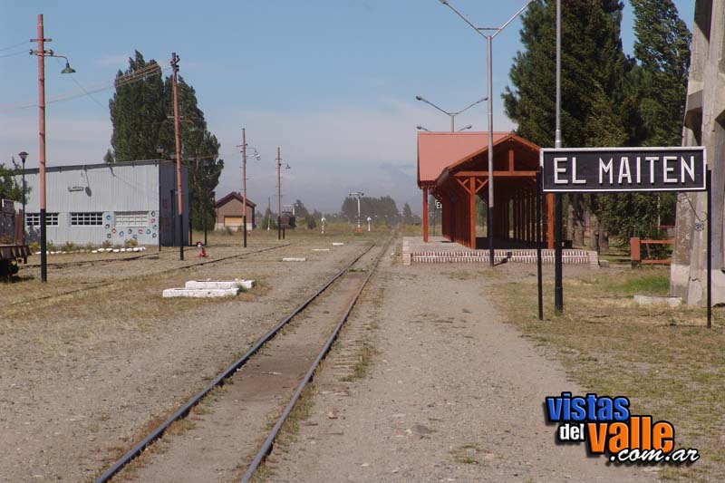 El Maiten 06 copy