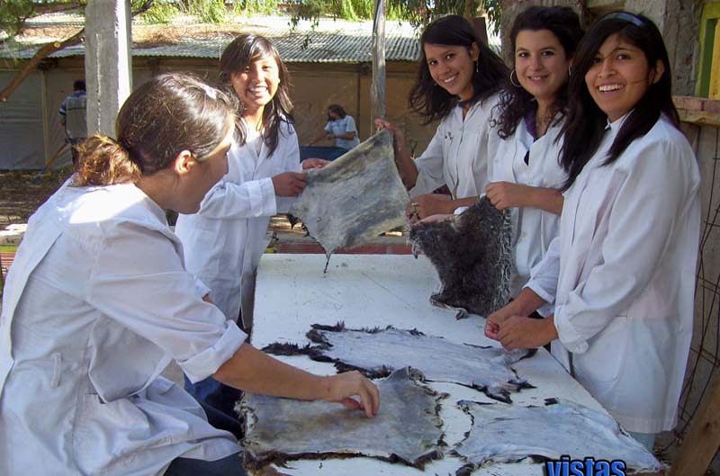 Alumnos (1) copy
