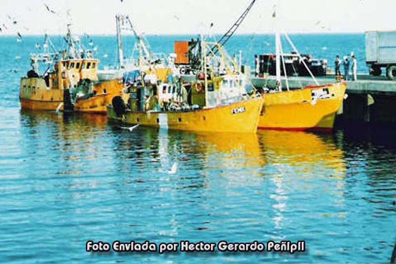Hector Gerardo Peñipil - Camarones- 01