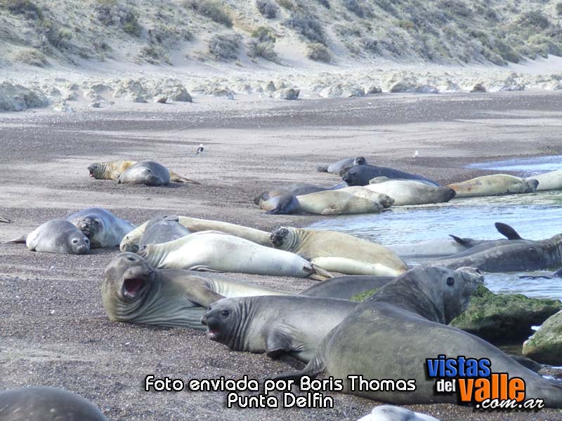 boris-thomas - punta delfin-02