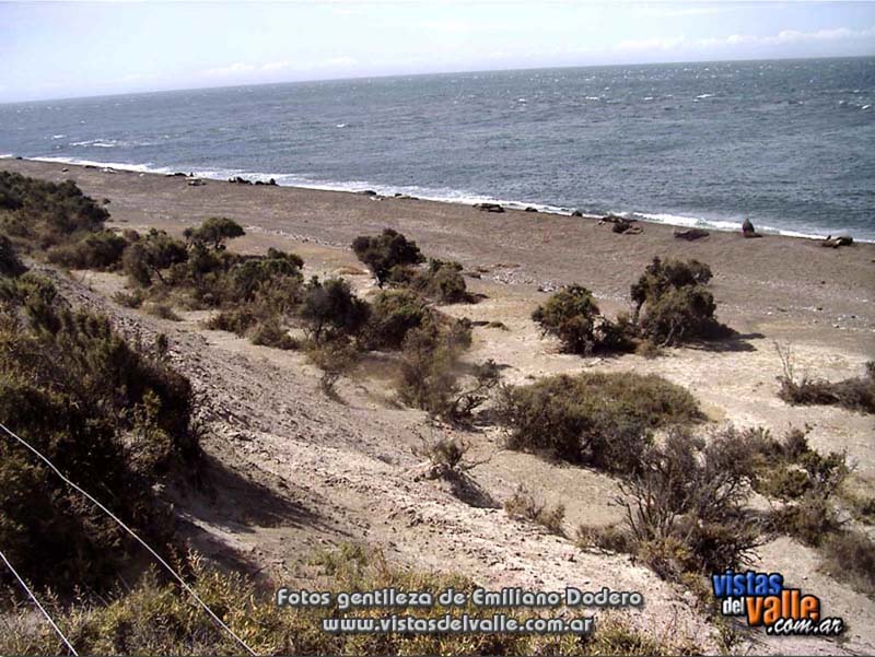 Caleta Valdes