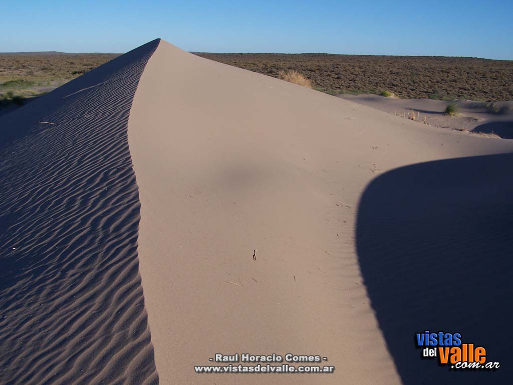 Medanos sobre la costa