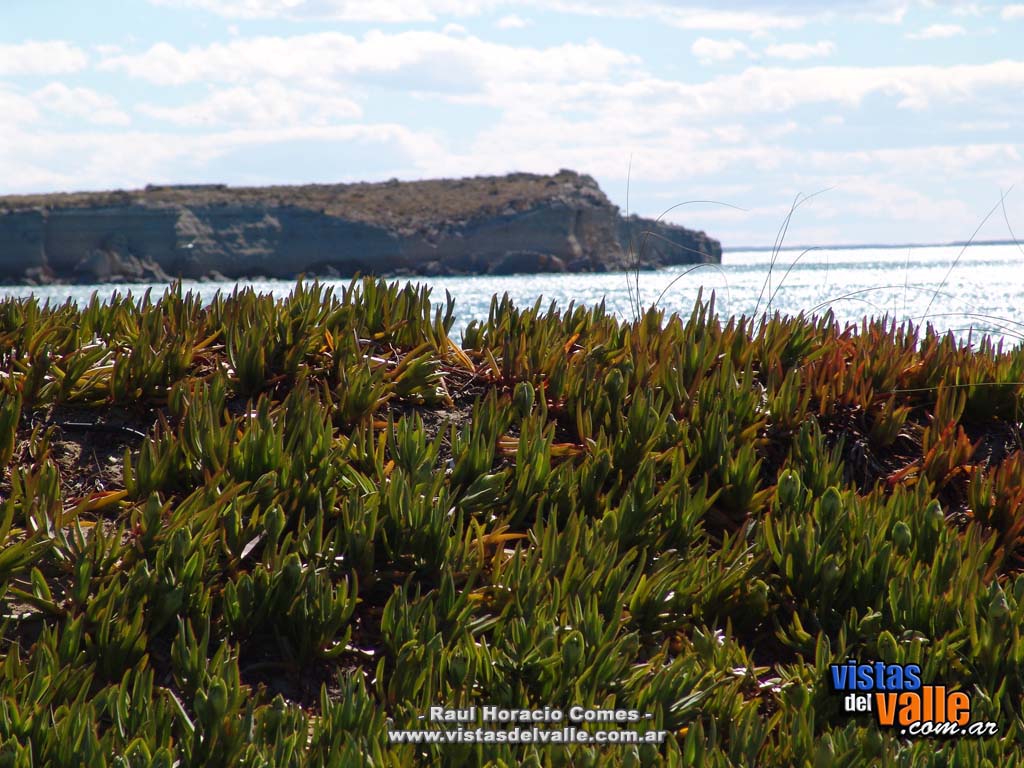 Playa Larralde 08