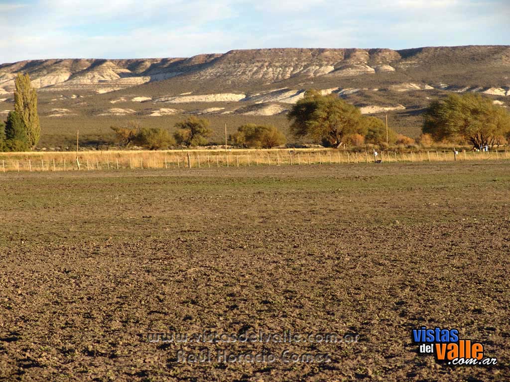 Bardas en zona rural de Trelew