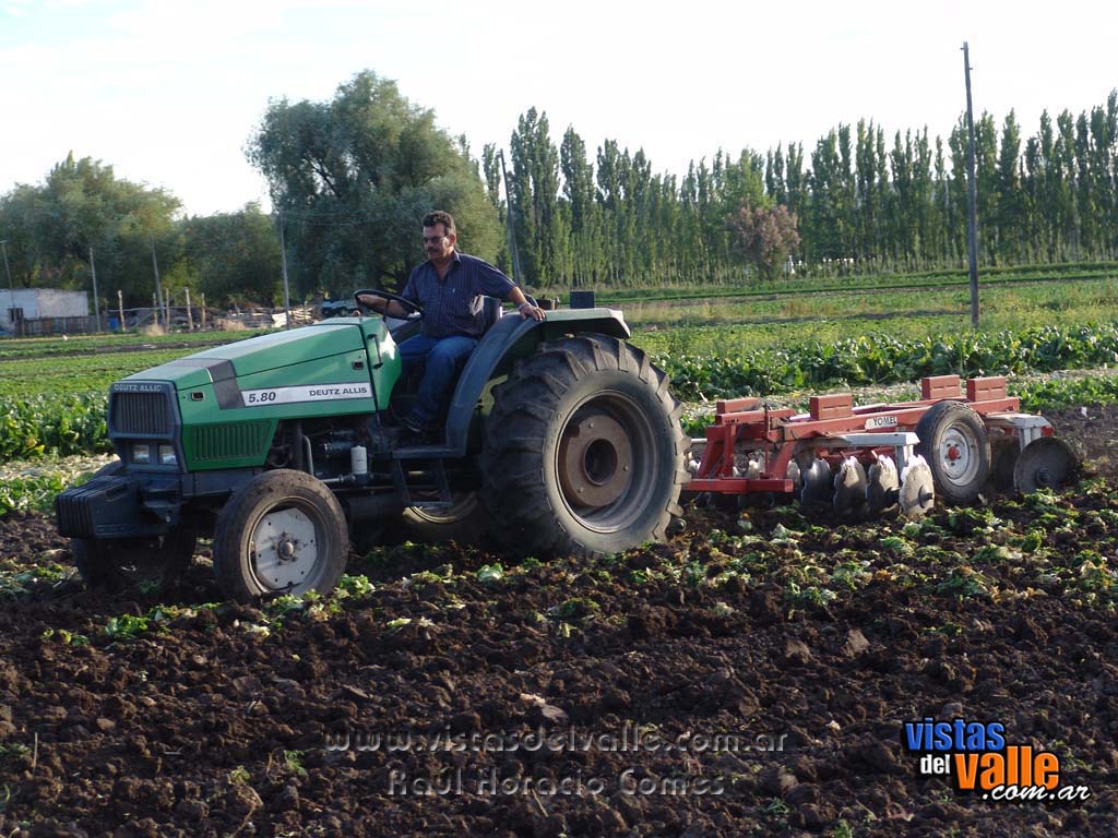 Trabajando la tierra