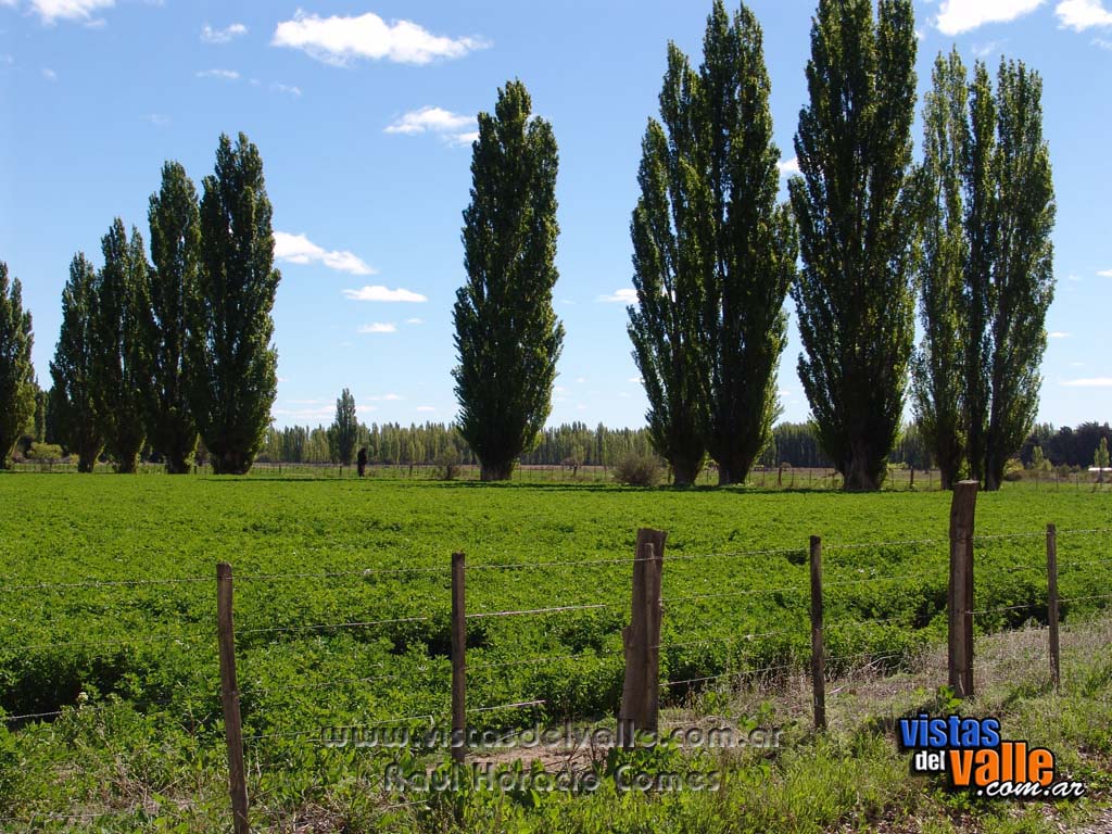 Zona rural de Gaiman