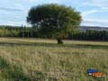 Zona Rural de Trelew