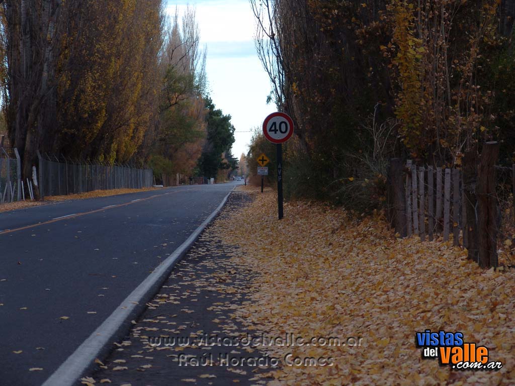 Hojas de otoño en Hendre