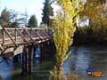 antiguo puente de madera Hendre - Hoy se esta reemplazando