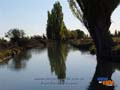 Canal de riego en zona de Bethesda