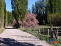 valle en zona de puente Hendre 02