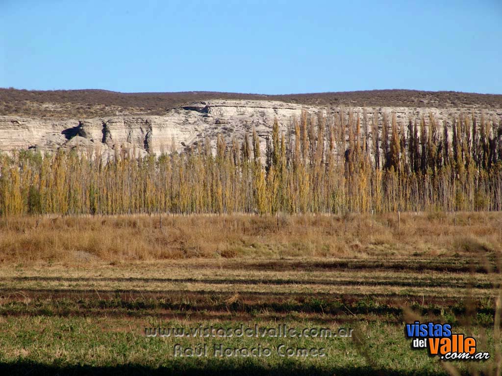 Dolavon zona rural