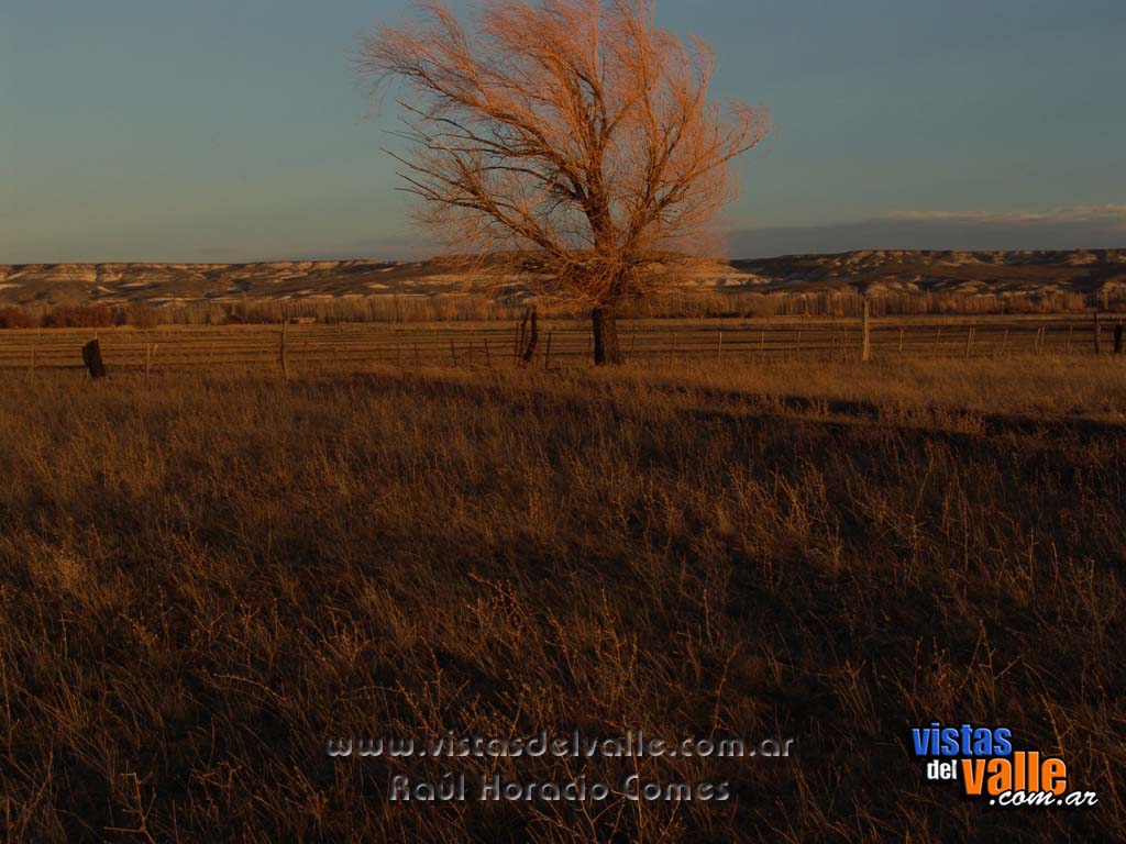 Las bardas iluminadas con el ultimo rayo de sol