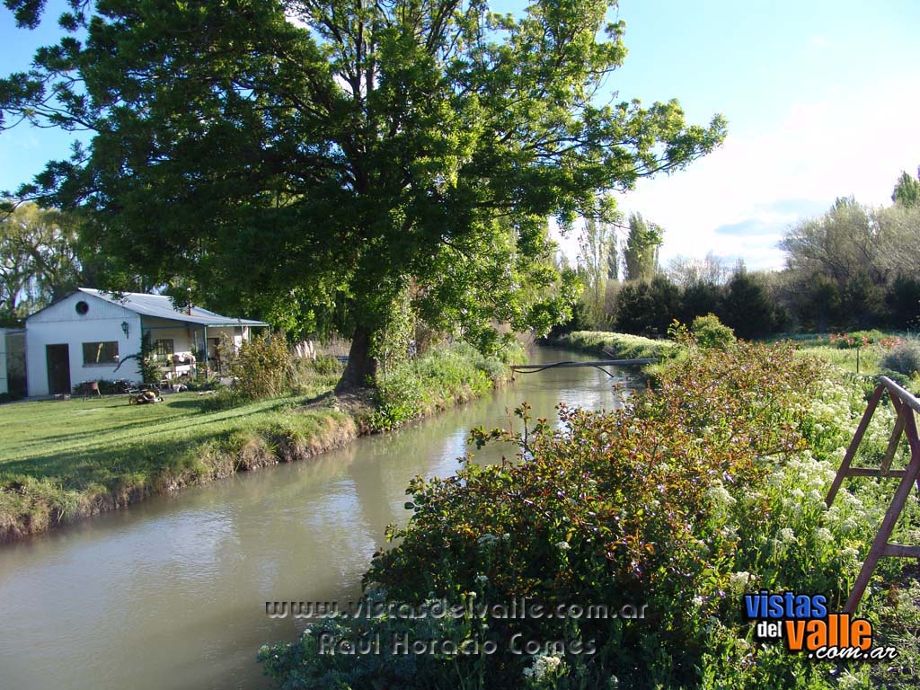 Canal de riego en el vivero