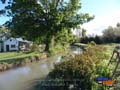 Canal de riego en el vivero