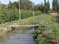 Canal de riego en medio de cerezos