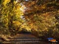 Otoño en el valle