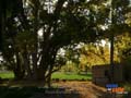 Zona rural en Drofa Dulog