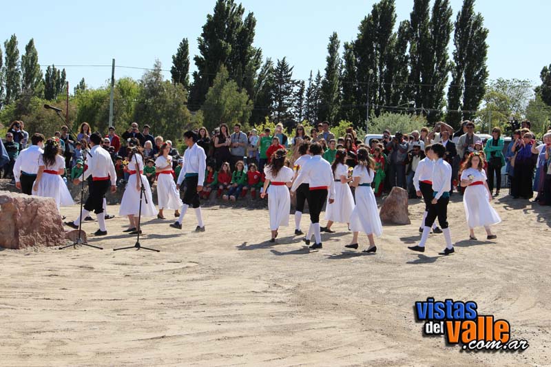 IMG_2338 copy
