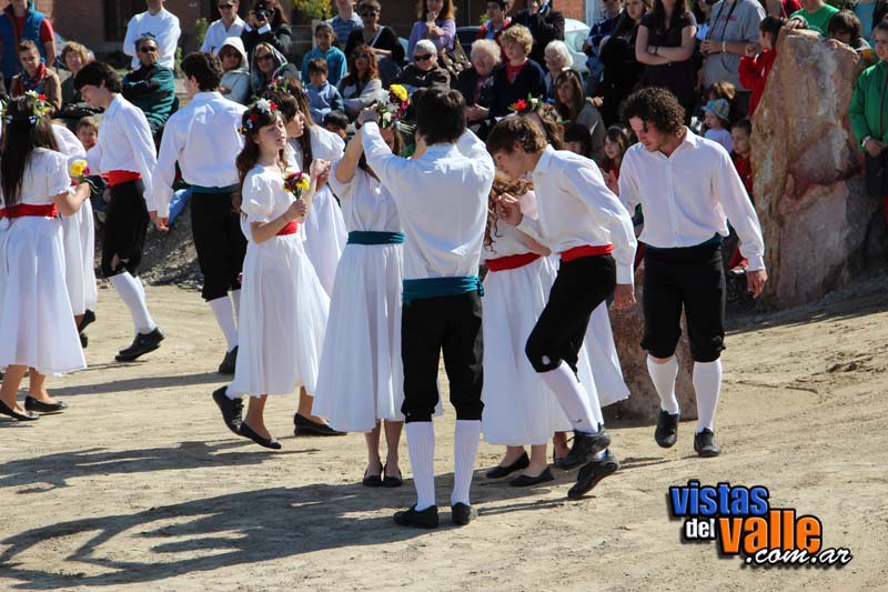 IMG_2343 copy
