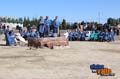IMG_2372 copy