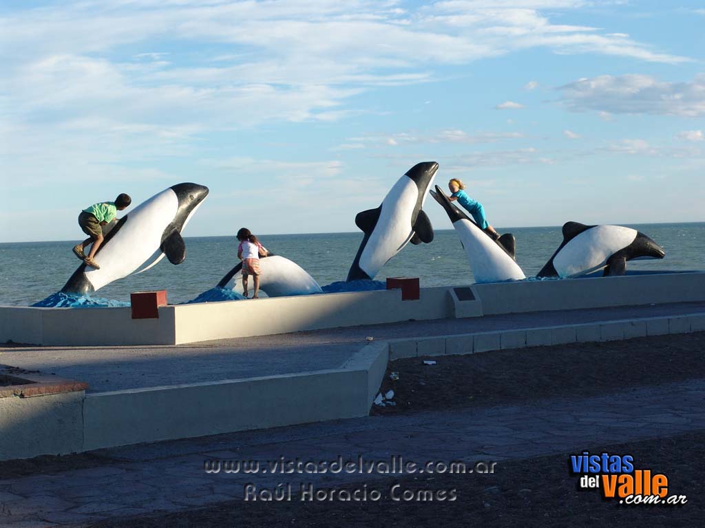 Playa Union delfines